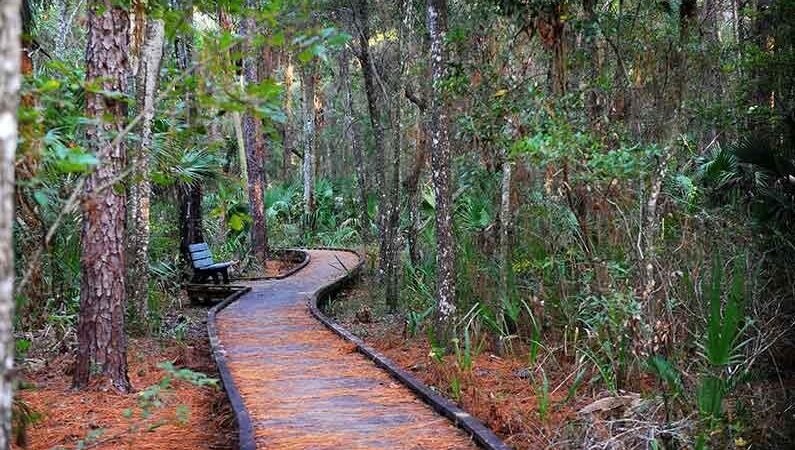 Crystal River Preserve State Park - Crystal River, FL