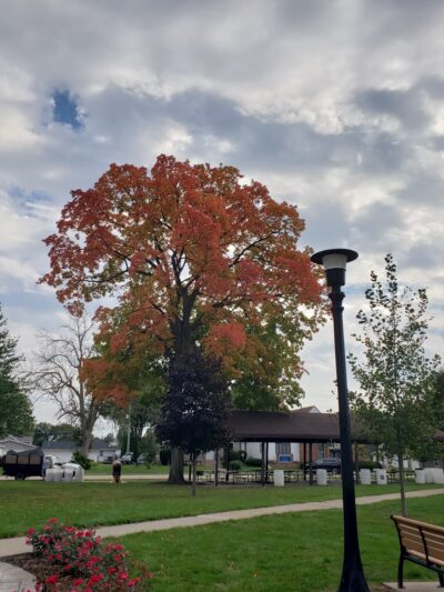 Veterans Memorial Park - Cuba City, WI