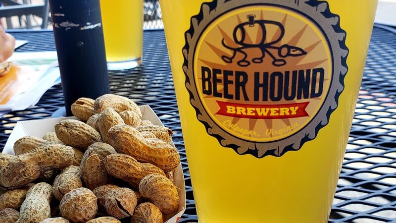 Beer Hound Brewery - Culpeper, VA