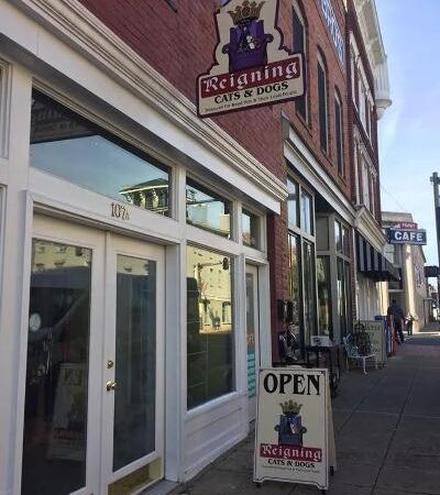 Reigning Cats & Dogs and Kindness - Culpeper, VA