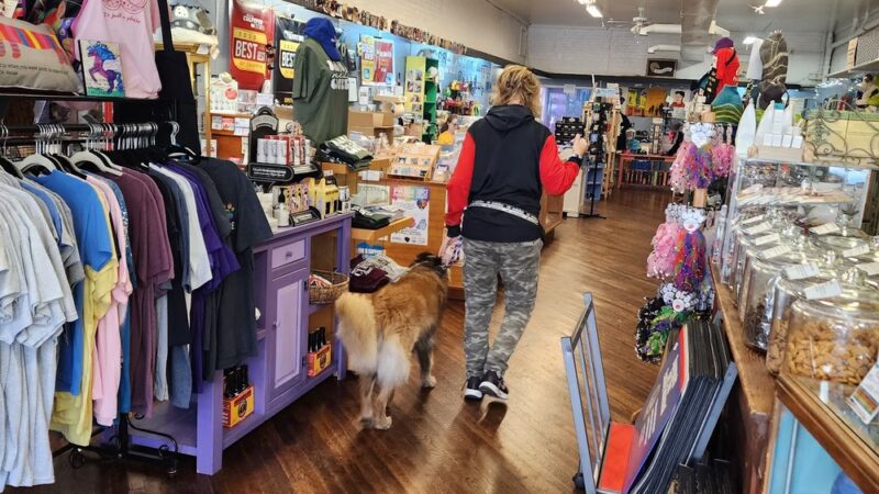 Reigning Cats & Dogs and Kindness - Culpeper, VA