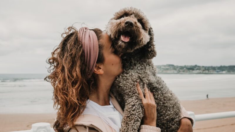 Reigning Cats & Dogs and Kindness - Culpeper, VA