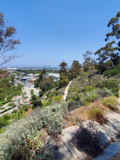 Culver City Park - Culver City, CA