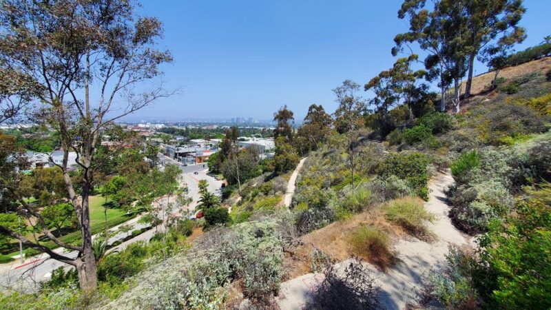 Culver City Park - Culver City, CA