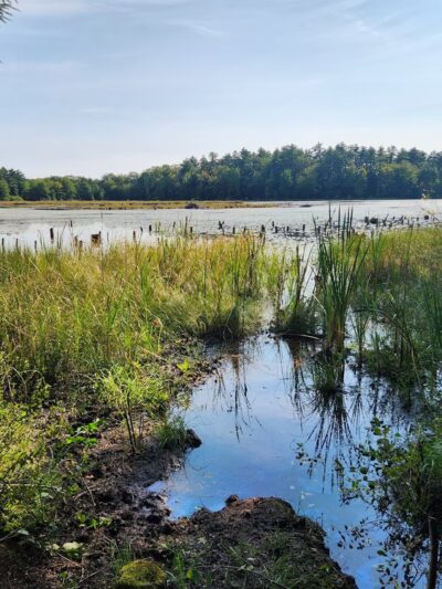 Knight's Pond Preserve - Cumberland Center, ME