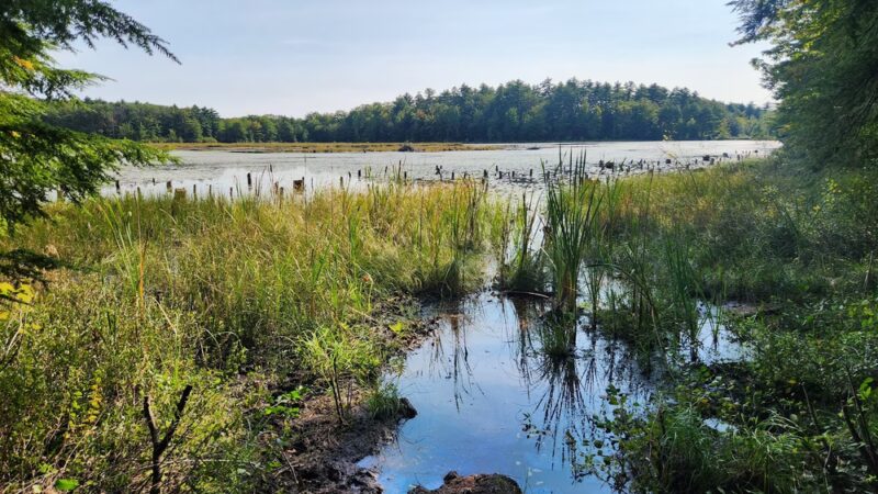 Knight's Pond Preserve - Cumberland Center, ME