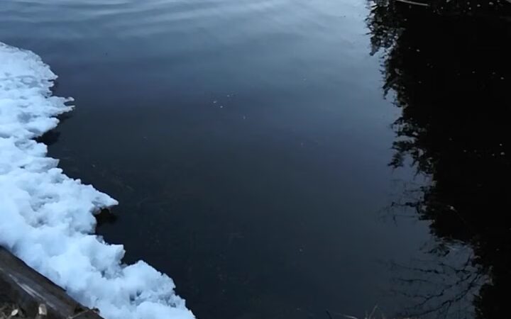 Knight's Pond Preserve - Cumberland Center, ME