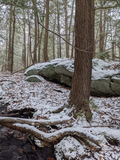 Knight's Pond Preserve - Cumberland Center, ME