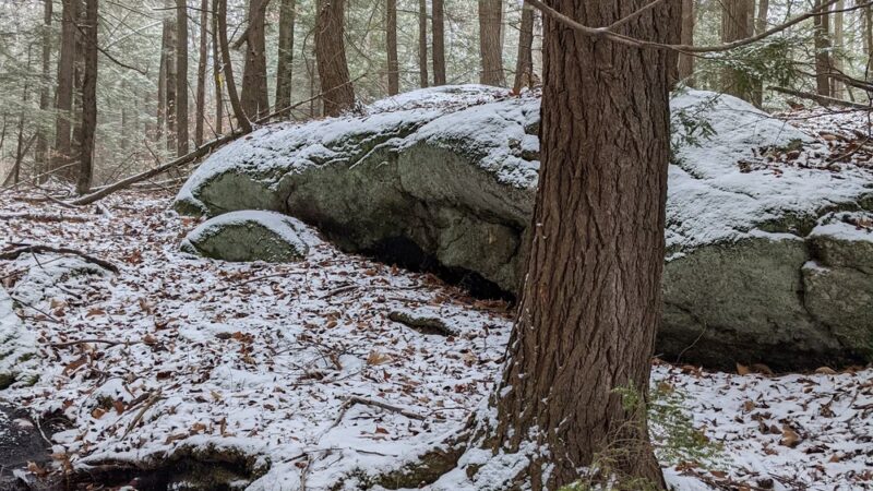 Knight's Pond Preserve - Cumberland Center, ME