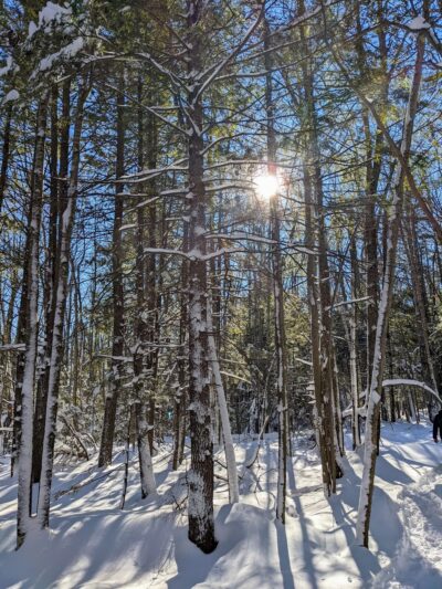 Knight's Pond Preserve - Cumberland Center, ME
