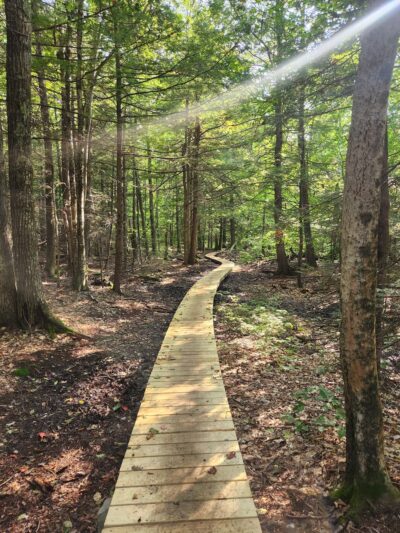 Knight's Pond Preserve - Cumberland Center, ME