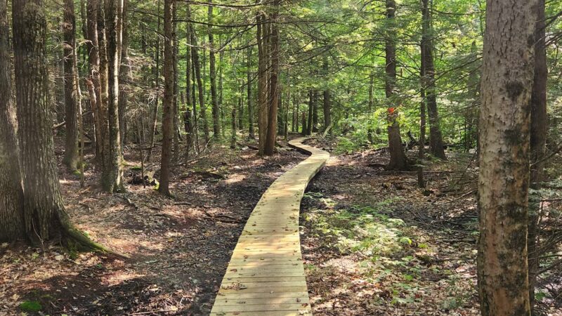 Knight's Pond Preserve - Cumberland Center, ME