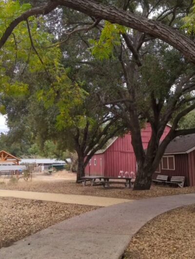 Friends of Stevens Creek Trail - Cupertino, CA