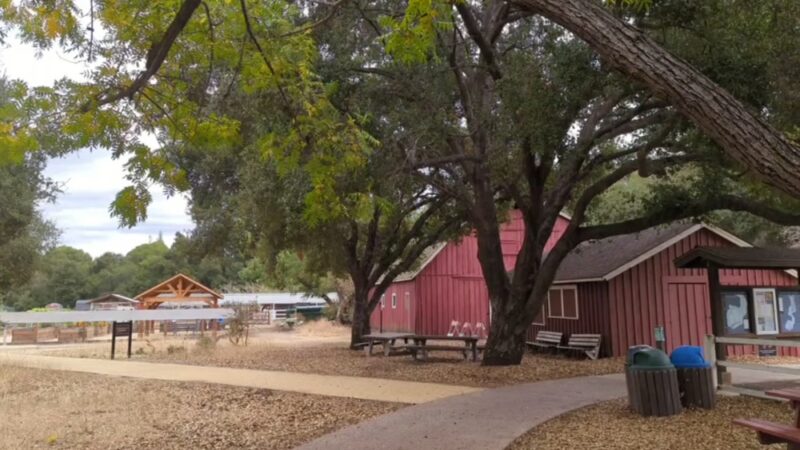 Friends of Stevens Creek Trail - Cupertino, CA