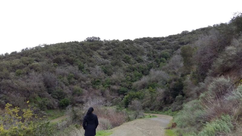 Friends of Stevens Creek Trail - Cupertino, CA