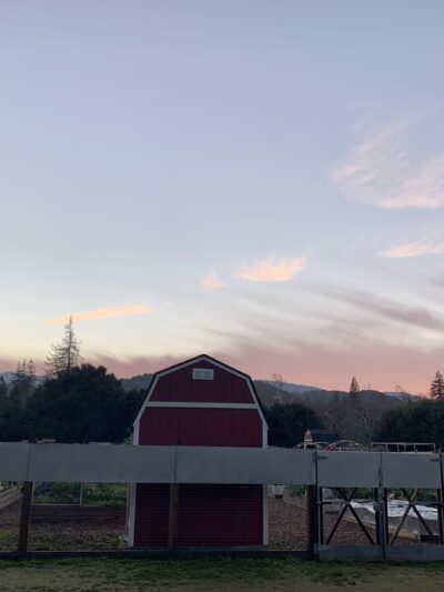 Friends of Stevens Creek Trail - Cupertino, CA