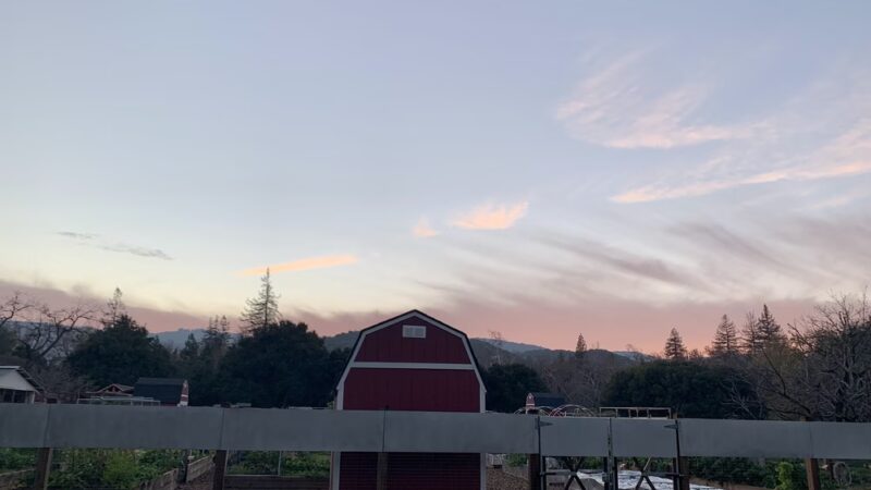 Friends of Stevens Creek Trail - Cupertino, CA