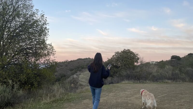Hidden Gulch - Cupertino, CA