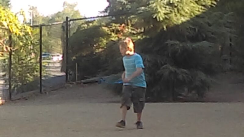 Mary Avenue Dog Park - Cupertino, CA