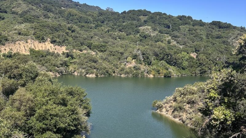 Stevens Canyon Trail - Cupertino, CA