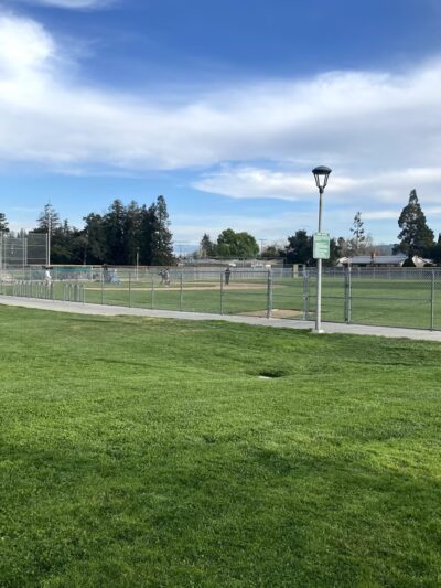 Wilson Park - Cupertino, CA