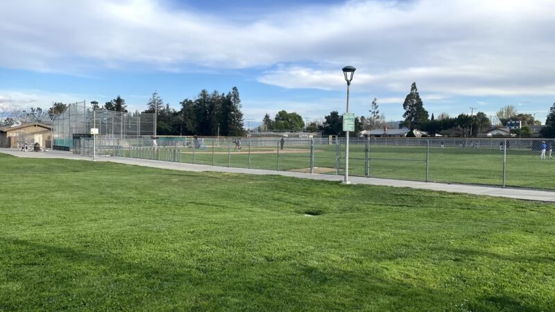 Wilson Park - Cupertino, CA