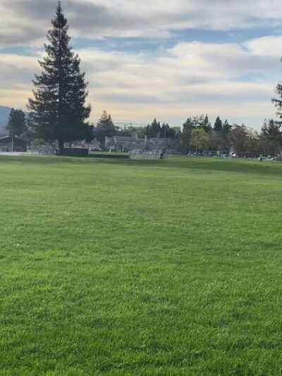 Wilson Park - Cupertino, CA