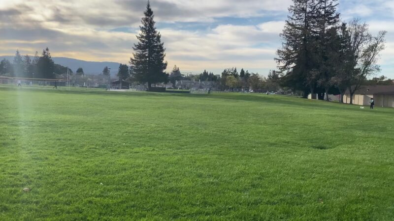 Wilson Park - Cupertino, CA