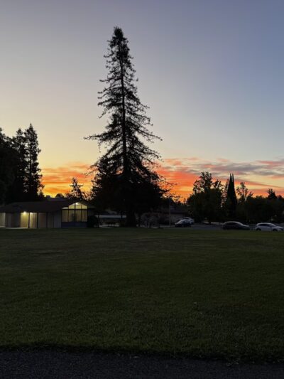 Wilson Park - Cupertino, CA
