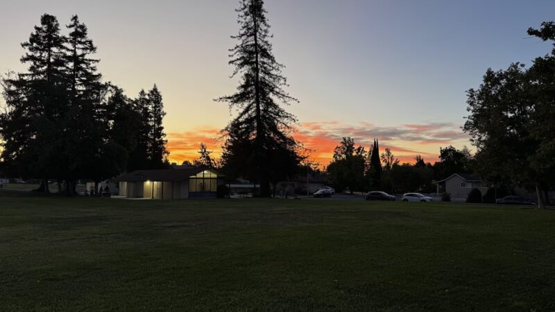 Wilson Park - Cupertino, CA