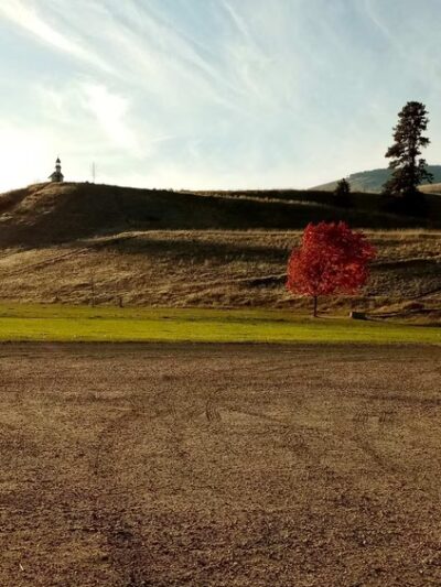 Curlew RV Park & Mini Storage - Curlew, WA