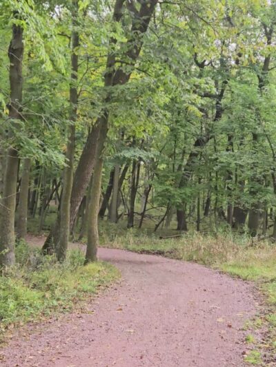 Lake Shetek State Park - Currie, MN