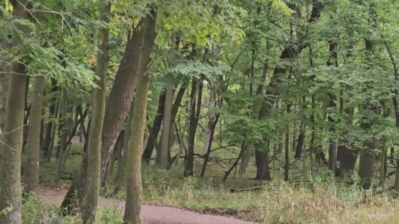 Lake Shetek State Park - Currie, MN