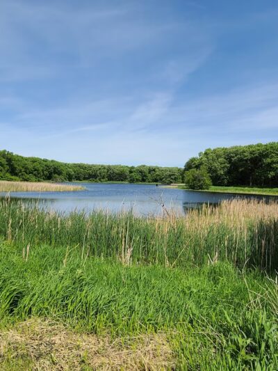 Lake Shetek State Park - Currie, MN