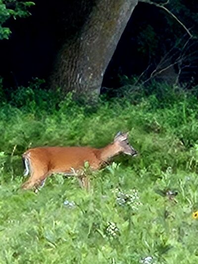 Sunrise Campground - Currie, MN
