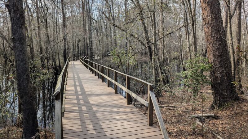 Moores Creek National Battlefield - Currie, NC