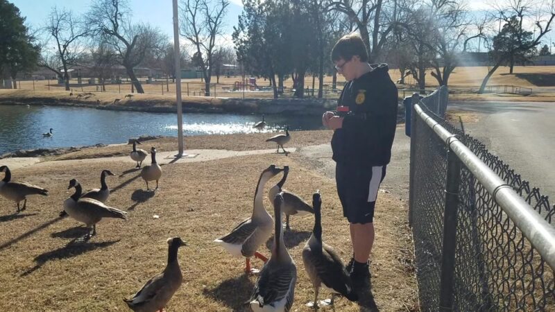 Cushing Park - Cushing, OK