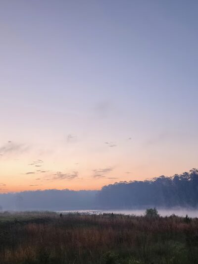 King's Pond - Cusseta, GA