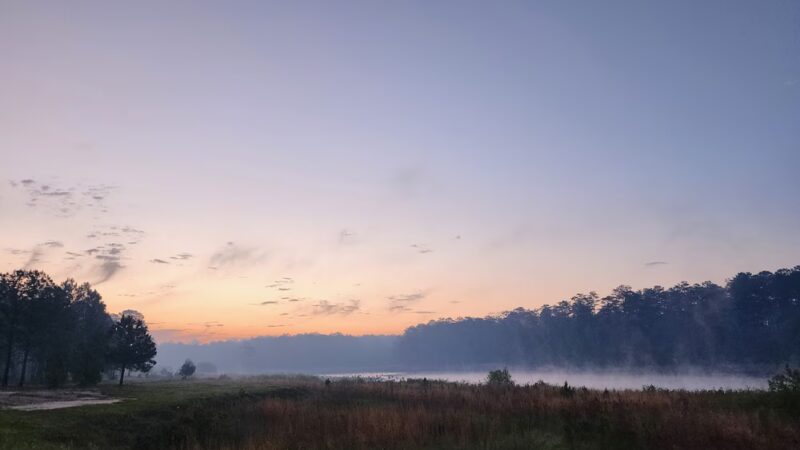 King's Pond - Cusseta, GA