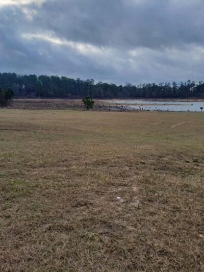King's Pond - Cusseta, GA