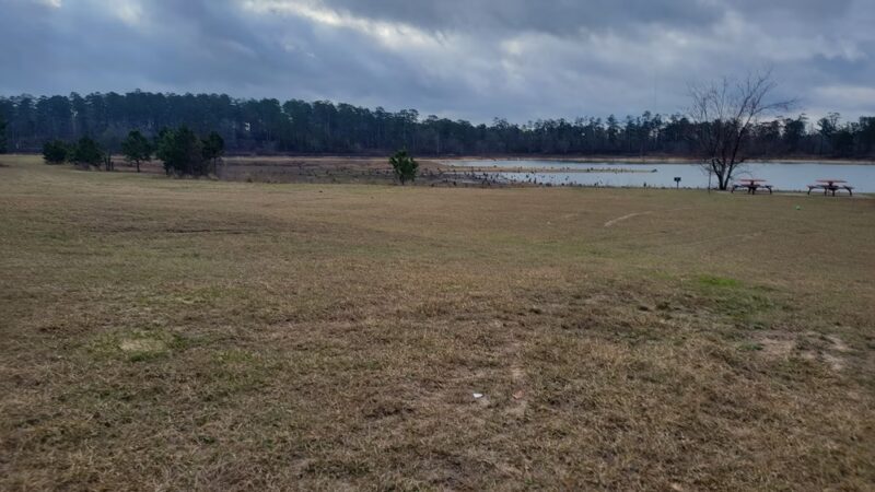 King's Pond - Cusseta, GA