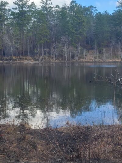 King's Pond - Cusseta, GA