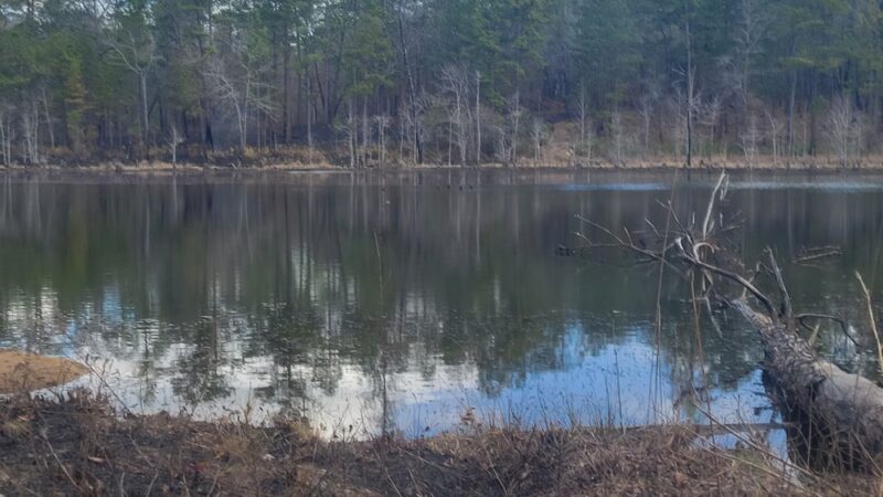 King's Pond - Cusseta, GA