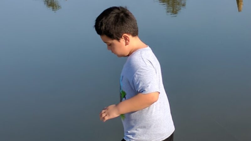 King's Pond - Cusseta, GA