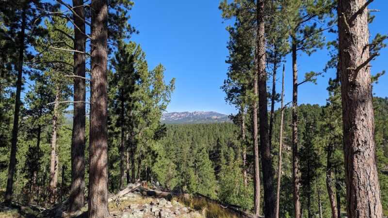 Stockade Lake Trailhead - Custer, SD