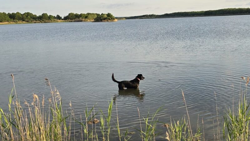 Super LAKE - Cutler, IL