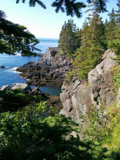 Cutler Coast Public Reserved Land - Cutler, ME