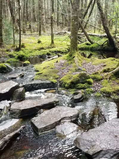Trailhead: Cutler Bold Coast Trail - Cutler, ME