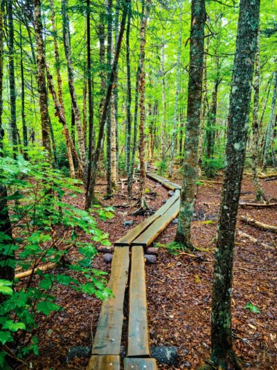 Trailhead: Cutler Bold Coast Trail - Cutler, ME