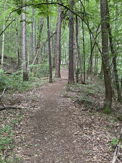 Cherokee Bluff Dam Railroad Trail- Trailhead - Dadeville, AL